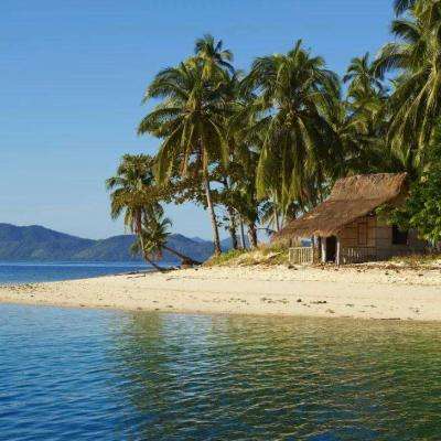 问题公司步步走低 130股市值不足20亿